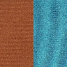 Carrot 0309 | Turquoise 0305